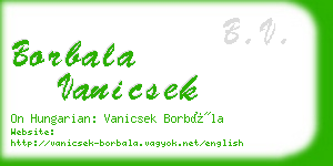 borbala vanicsek business card